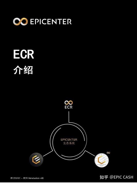ECR Java 的图像结果