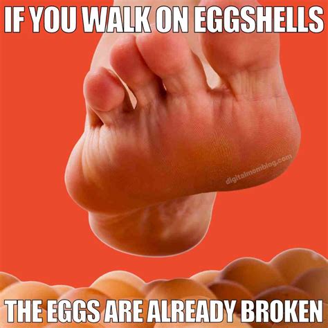 Local Activities Memes 的图像结果