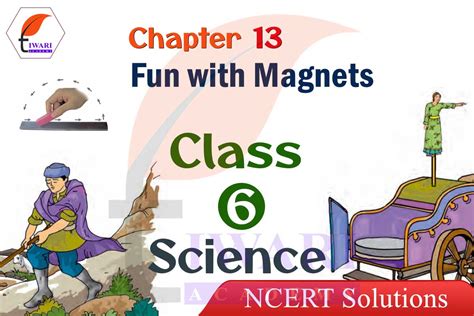 Image result for Class 6 Chapter 13
