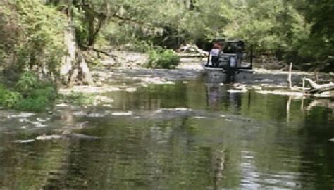 Temple Inland pleads guilty in Pearl River fish kill case