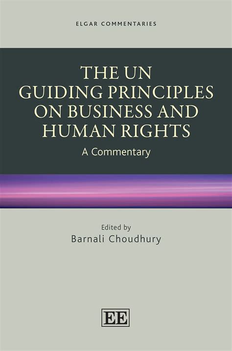 Buy The UN Guiding Principles on Business and Human Rights: A ...