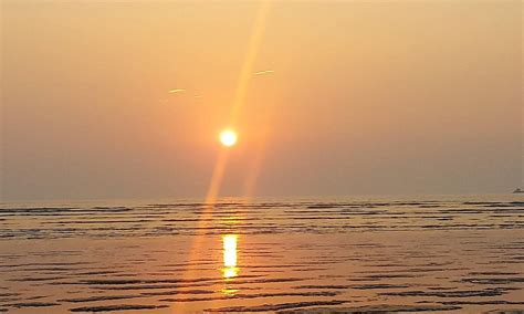 RANAVALI FARM HOUSE (Alibaug, Maharashtra) - Inn Reviews & Photos ...