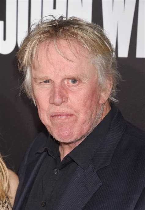 Gary Busey Pleads Guilty to Sex Crime Charge Tied to Horror Movie Event ...