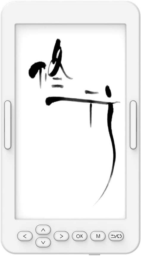 eBook-Reader 的图像结果