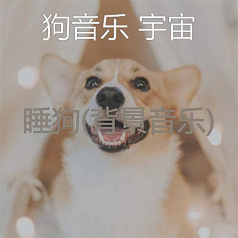 Amazon Music - 狗音乐 宇宙の睡狗(背景音乐) - Amazon.co.jp