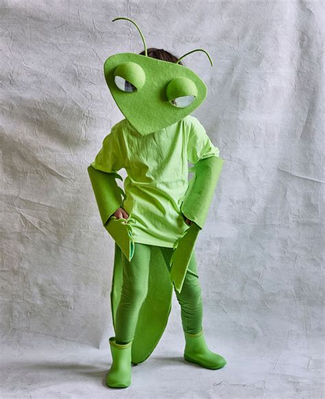 How to make a praying mantis costume for kids – Artofit