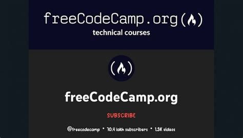 freeCodeCamp Tutorial 的图像结果