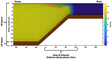 Tidal Variation in Cohesive Sediment Distribution and Sensitivity to ...