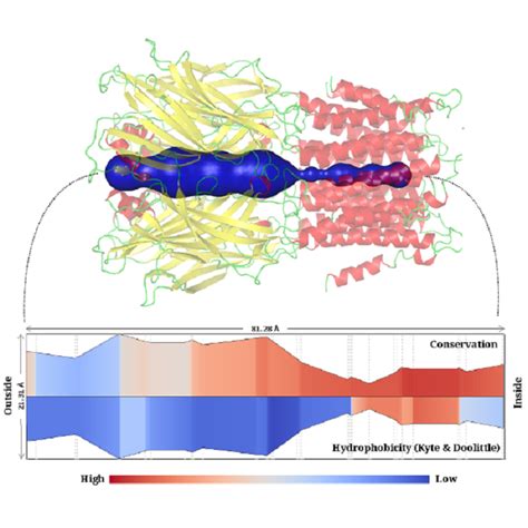 Visualization and Graphics Lab, Indian Institute of Science