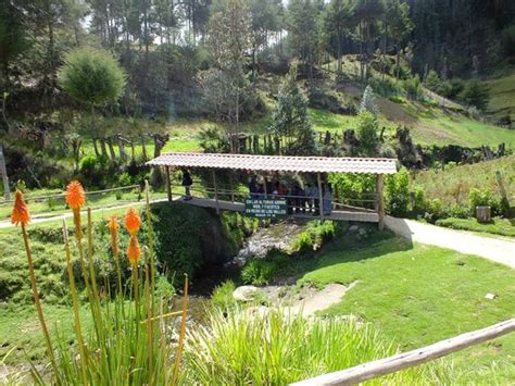 GRANJA PORCON (Cajamarca) - Ranch Reviews & Photos - Tripadvisor