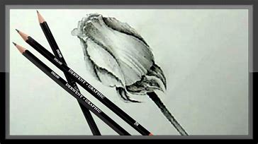 apple pencil draw on video