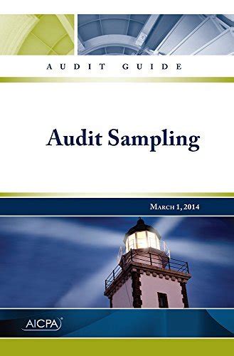 Audit Guide 的图像结果
