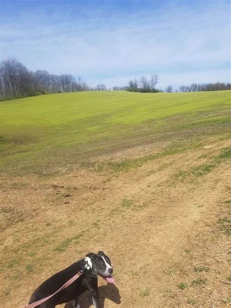 Bear Branch Nature Center - 300 John Owings Rd, Westminster, MD 21158 ...