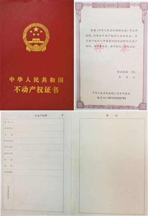 湛江出口原产地证书自助打印再添新成员-新闻频道-和讯网