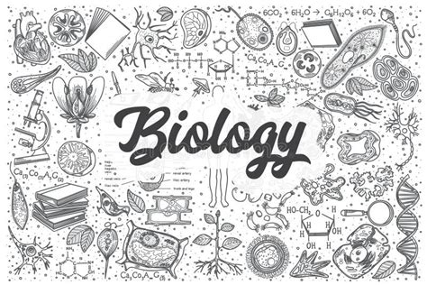 Biology Doodle Art 的图像结果