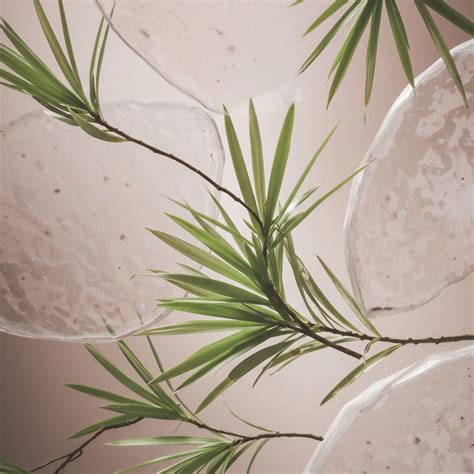 What Is the Role of Ambient Sound or Music in a Pre-Sleep Routine? → Learn