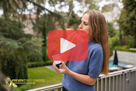Hornets vs. Wasps: Key Differences, Dangers, and Removal Tip