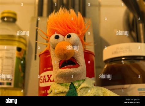 Image result for Beaker Muppet Lab