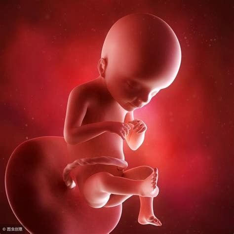 孕期哪几项B超一定要做？做多了会不会影响胎儿？_亲子时光_小豆苗疫苗助手