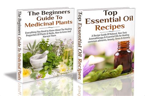 Essential Oils Box Set #32: Top Essential Oil Recipes & The Beginners ...