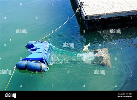 Image result for Automated Garbage Collection