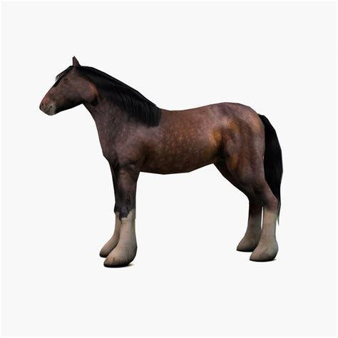 Тяжелый ломовой конь 3D Модель $29 - .3ds .c4d .fbx .max .obj - Free3D