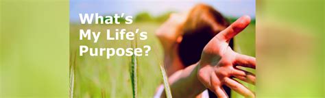 Personality Examples 的图像结果