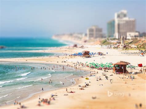 Bing Summer Beach Wallpaper 的图像结果