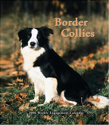 Border Collies Weekly 2006 Calendar : Amazon.in: Books