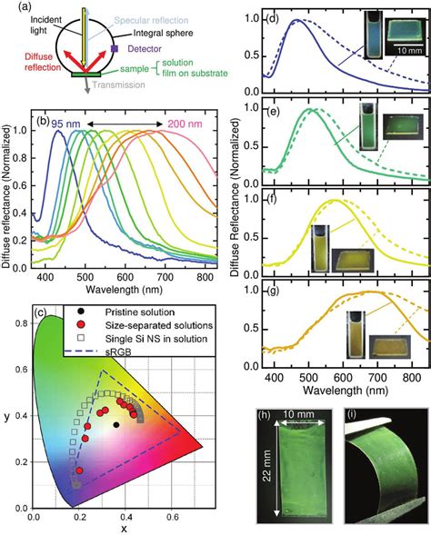 Image result for Diffuse Reflectance Probe
