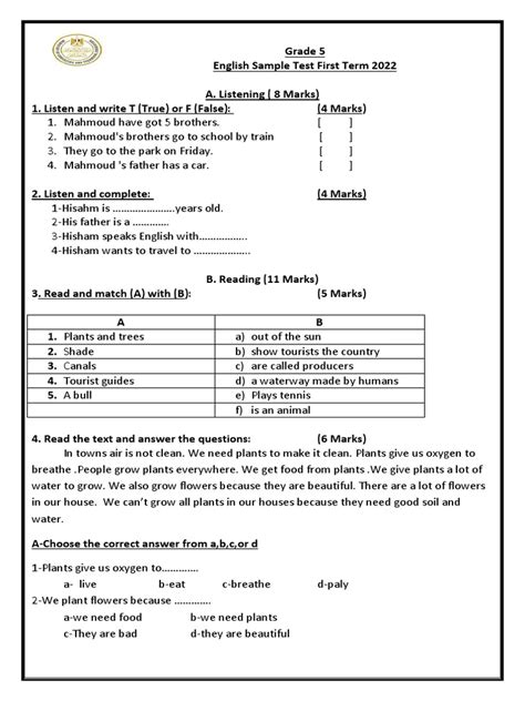 Class 5 Test Questions 的图像结果