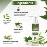 Best Ayurvedic and Herbal Face Wash | TNW- The Natural Wash
