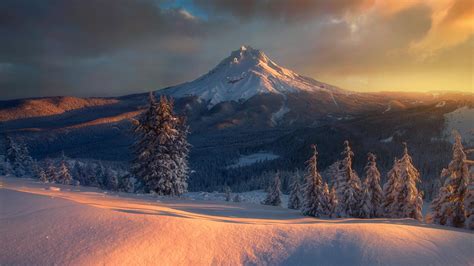 Bing HD Wallpaper 8 Feb 2024: Mount Hood, Oregon, USA - Bing Wallpaper ...