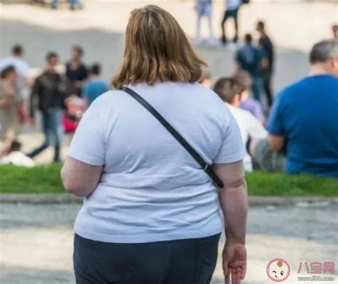 140斤女生减肥1年反胖50斤是怎么回事 为什么会越减越胖 _八宝网
