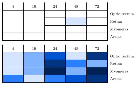 Image result for Table Cell Color Fill