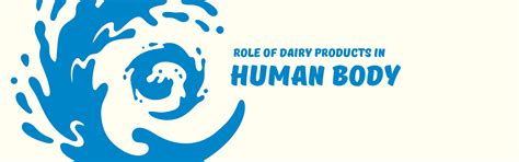 Role of Dairy Products in the Human Body: Nutrition Beyond the Bottle ...