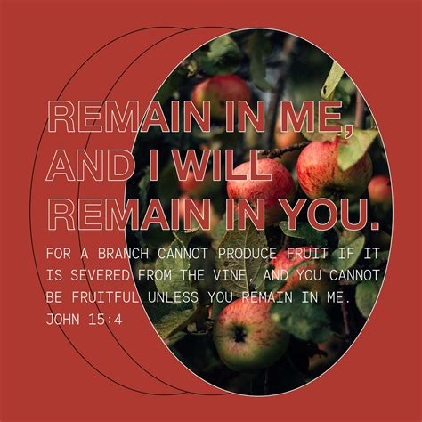 John 15:4 Abide in me, and I in you. As the branch cannot bear fruit of ...