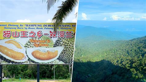 Co-owner Of Durian Plantation Opens Dessert Stall In Newton Selling MSW Durian Tau Huay & Mousse ...