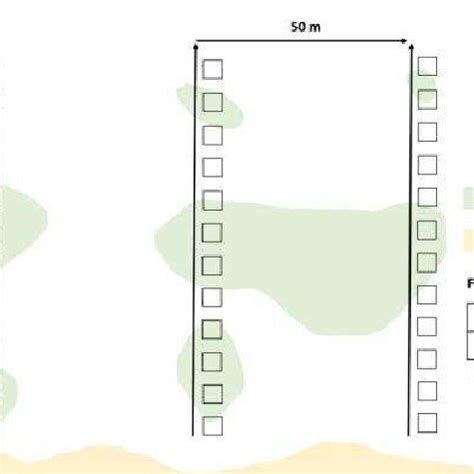 Image result for Transect Method