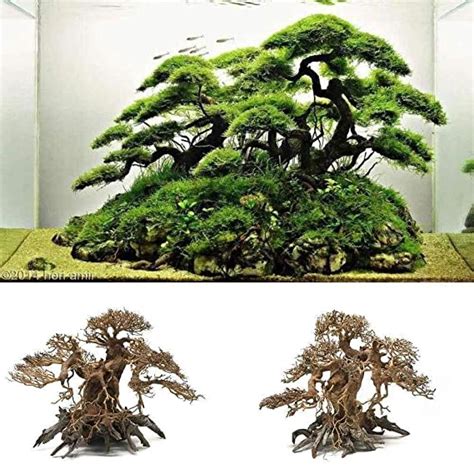 Sagar Aquarium Driftwood Banyan Tree Shape Wood Bonsai Tree for Fish ...