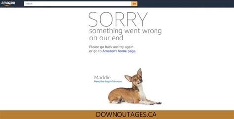 Image result for Amazon Connection Problems