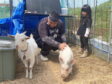 https://nara-shakyo.jp/files/libs/15459/202506030855389146.jpeg?1748908538=