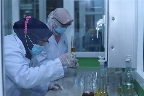 U.Syah 的图像结果