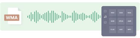 Open WMA File 的图像结果