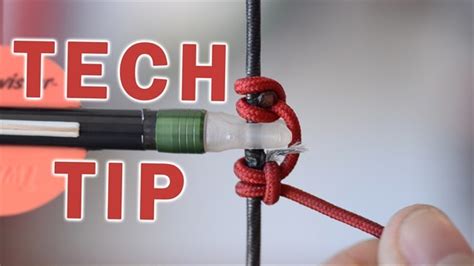 Installing D-loop 的图像结果