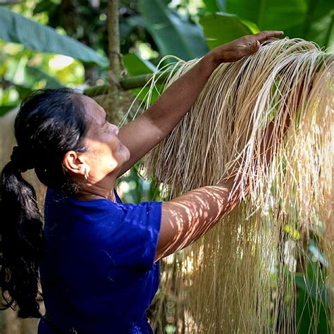 QWSTION's Banantex Material Offers Sustainable Fabrics