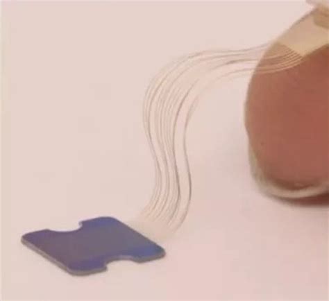 Elon Musk Finally Unveils Neuralink, Shows How People Will Connect ...