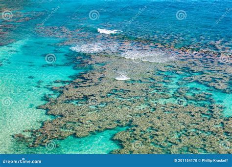 Coral Reef in Hanauma Bay, Oahu, Hawaii Stock Photo - Image of clear ...