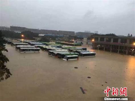 广西柳州连夜暴雨致多处被淹 公交车停运学校停课_凤凰资讯