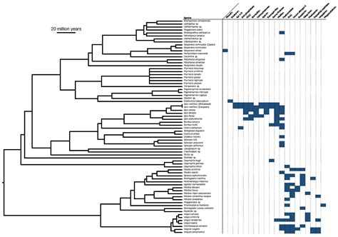 Functional and Proteomic Insights into Aculeata Venoms